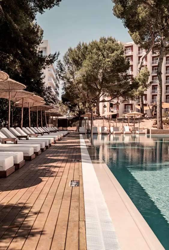 Cooks Club Palma Beach Piscina Detalle Tumbona