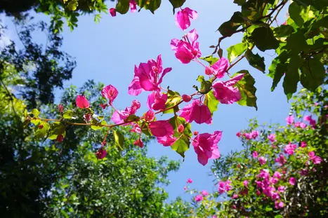 Adobestock 501818593
