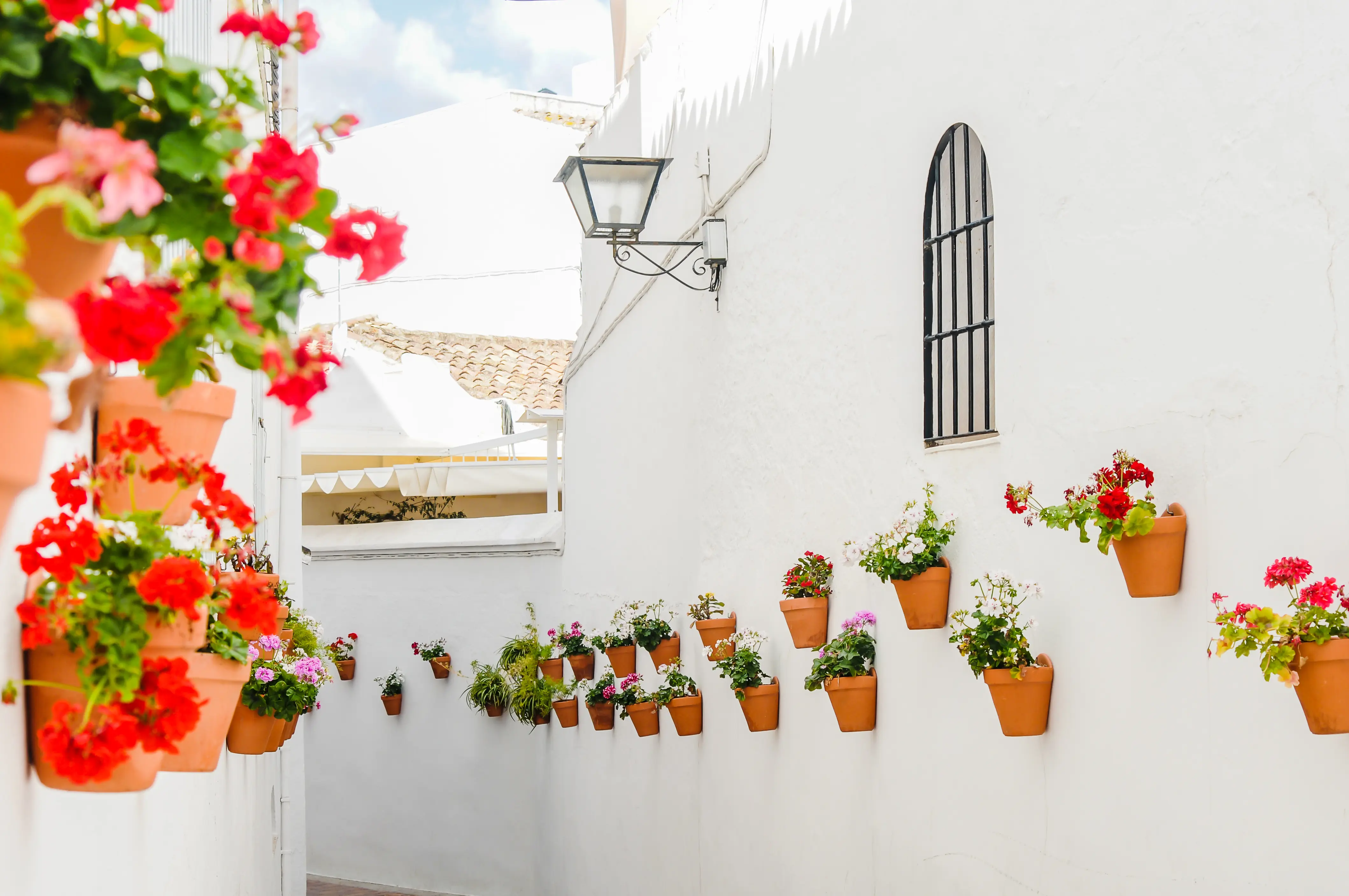 AGP Benalmadena Adobestock 110733771