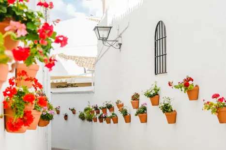 AGP Benalmadena Adobestock 110733771