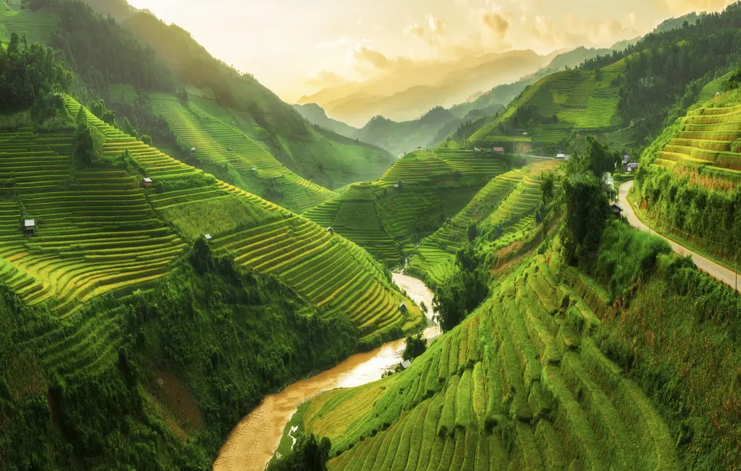 Viet Mucangchai Gettyimages 624183176