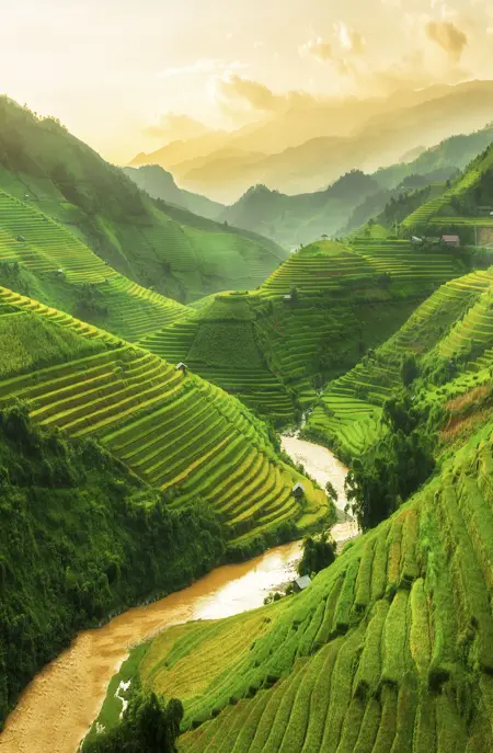 Viet Mucangchai Gettyimages 624183176