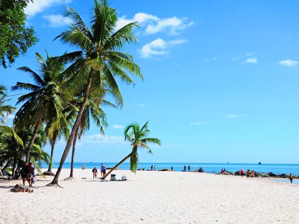 Thai Huahin 210609253