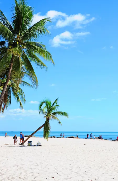Thai Huahin 210609253