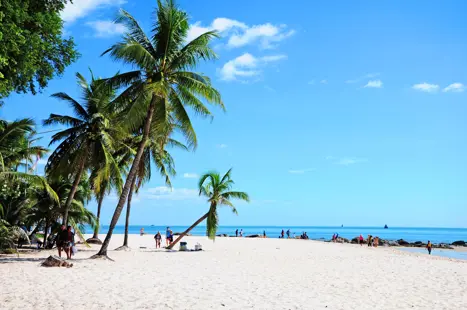 Thai Huahin 210609253