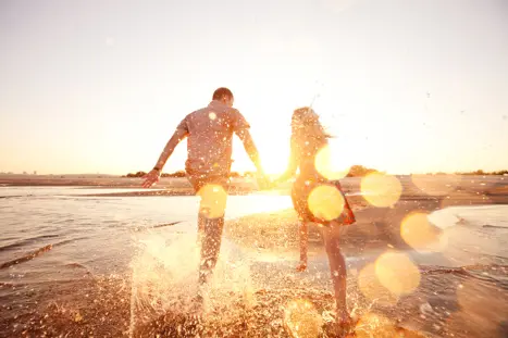 Shutterstock 133463087