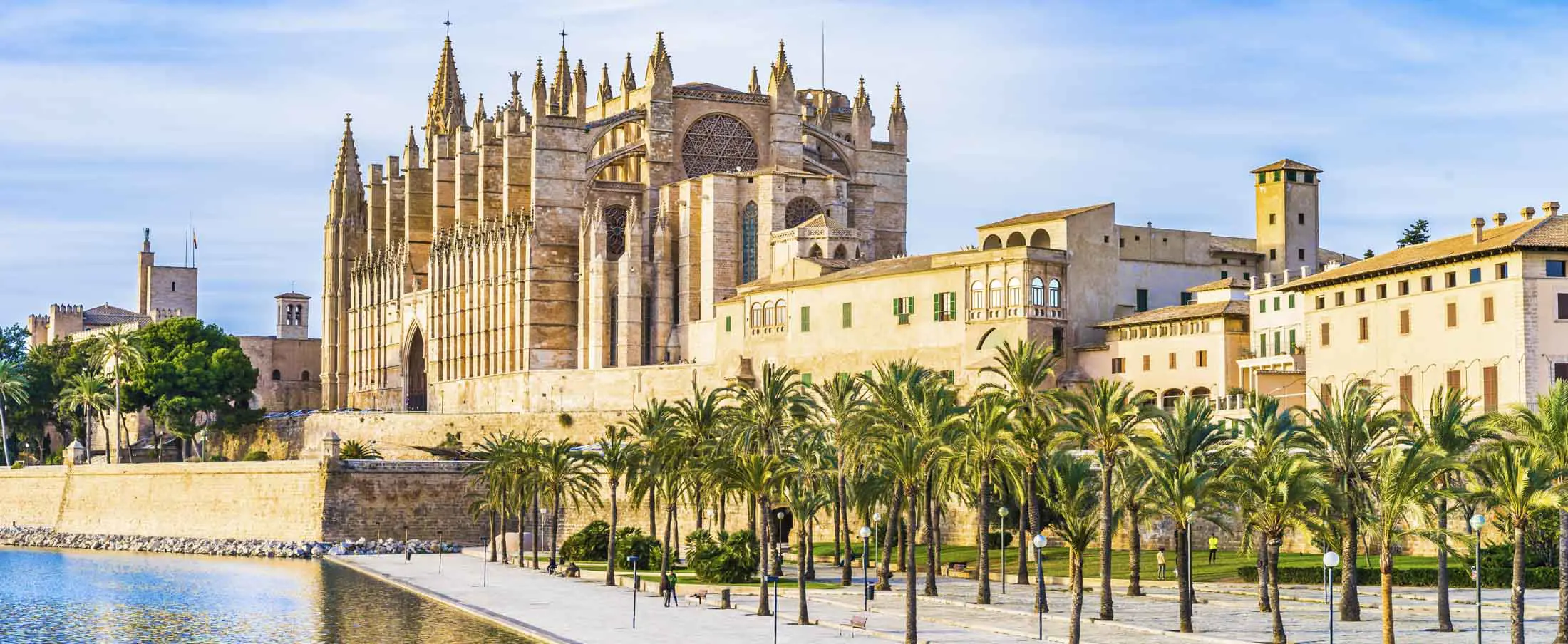 Palma Leseu Adobestock 100275682