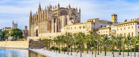 Palma Leseu Adobestock 100275682