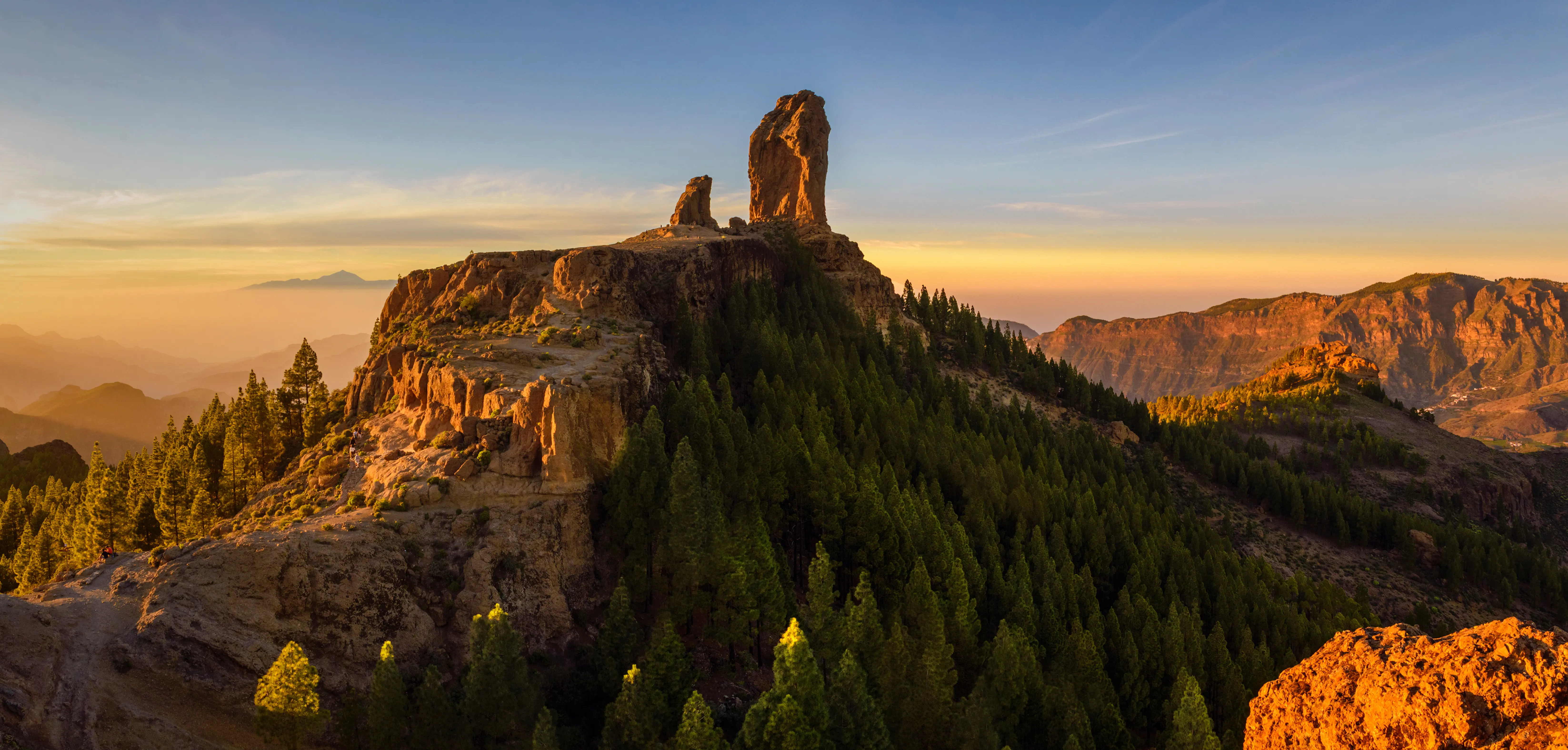 LPA Roguenublo Adobestock 567681939