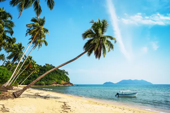 Thai Kohchang 362925782