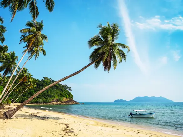 Thai Kohchang 362925782