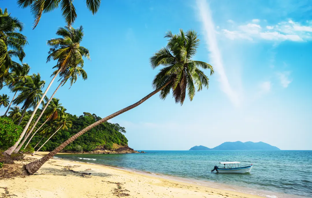 Thai Kohchang 362925782