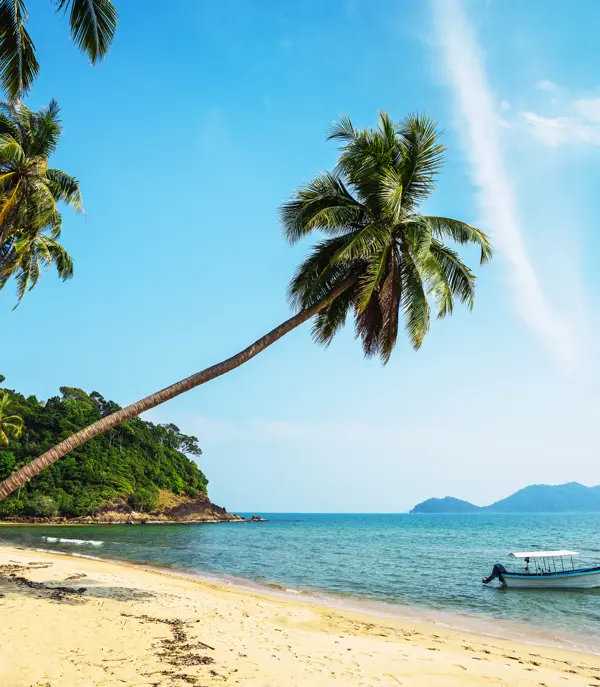 Thai Kohchang 362925782