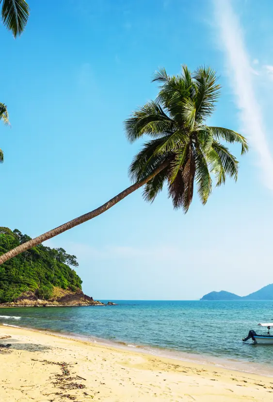 Thai Kohchang 362925782