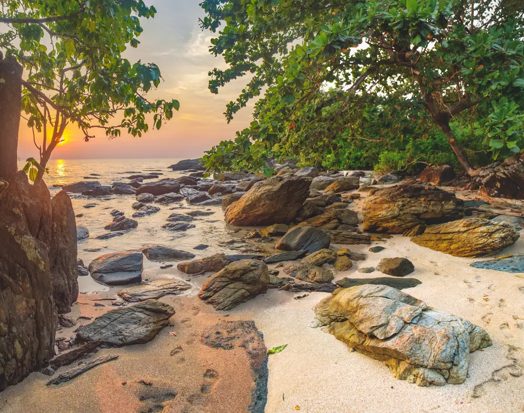 Thai Kohchang 524422738