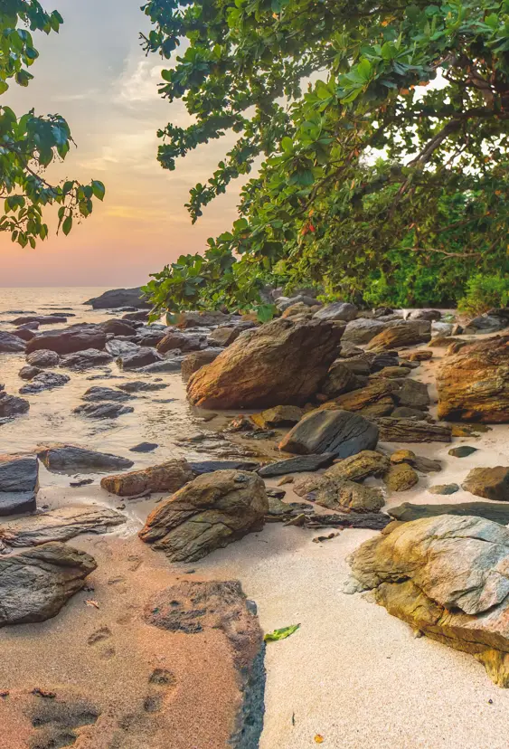 Thai Kohchang 524422738