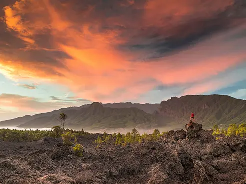 La Palma Paisaje Van Marty