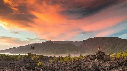 La Palma Paisaje Van Marty