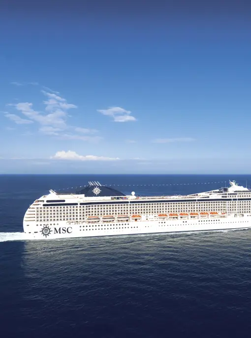 MSC13013822