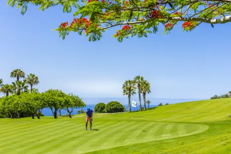 Tecina Golf Green Hoyo 6 8