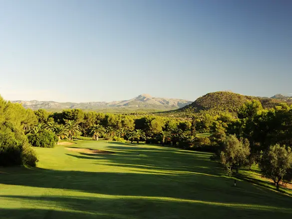 Poniente Green 8