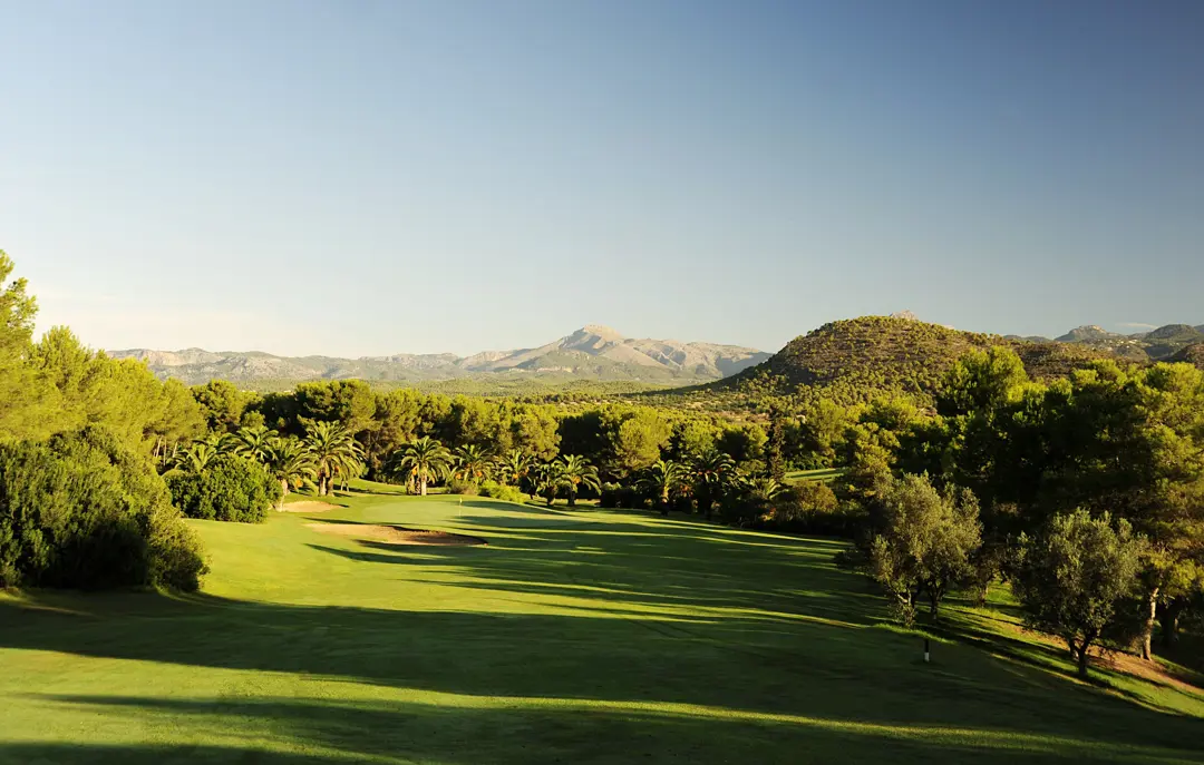 Poniente Green 8