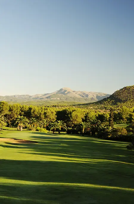 Poniente Green 8