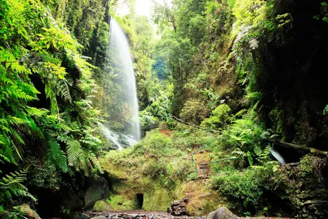 SPC Los Tilos Waterfall 657169678 WEB