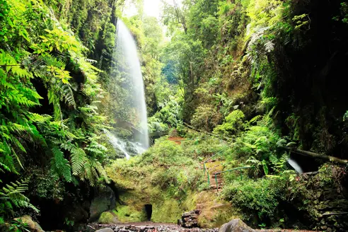 SPC Los Tilos Waterfall 657169678 WEB