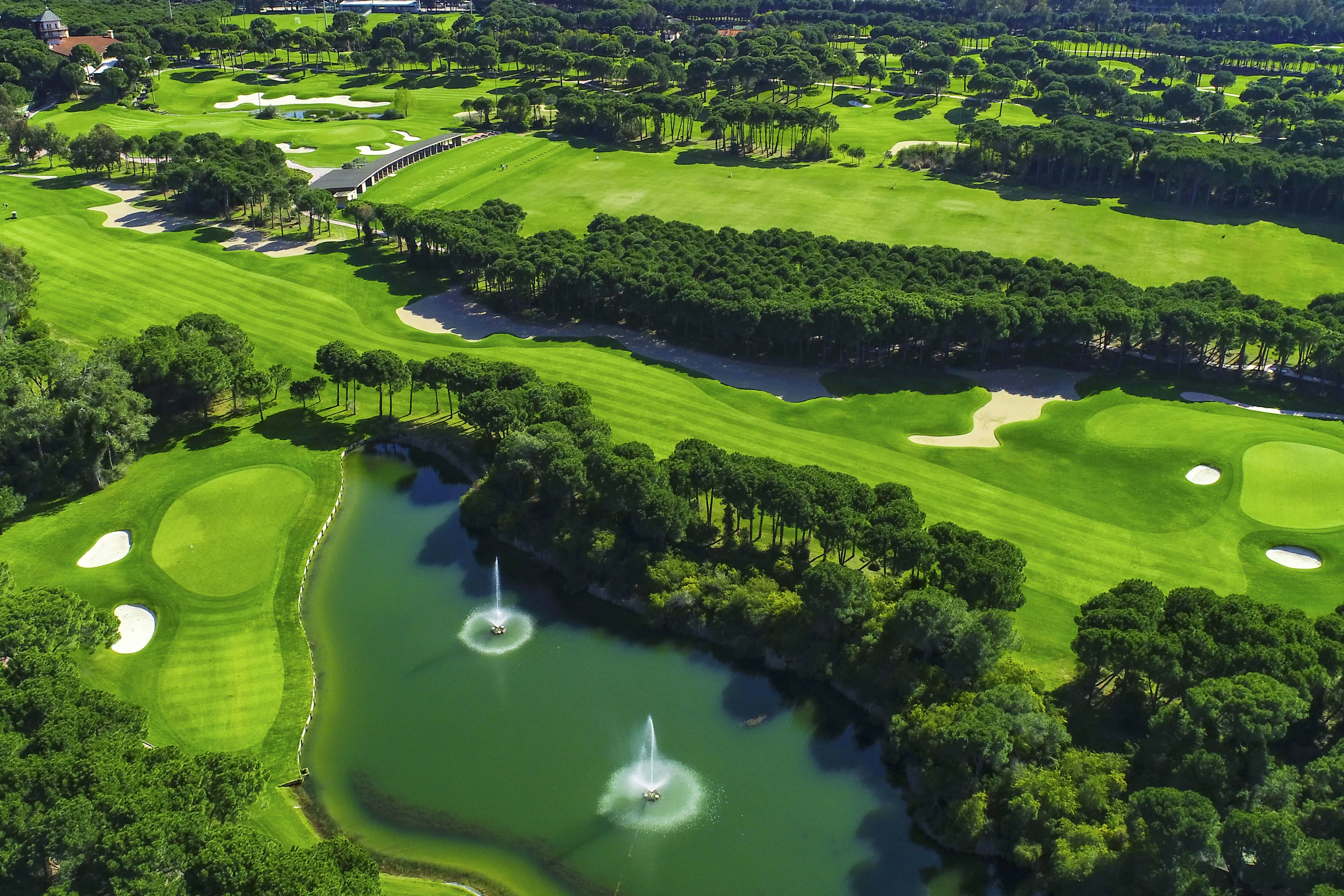 Montgomerie 1Sthole