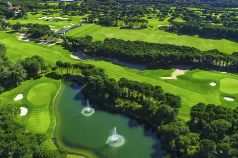 Montgomerie 1Sthole