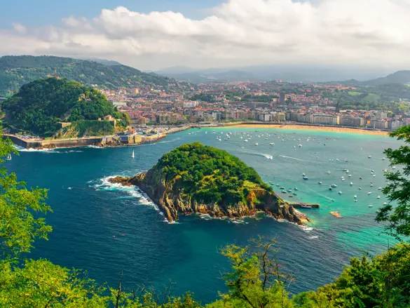BIO Sansebastian Adobestock 274749671 (1)