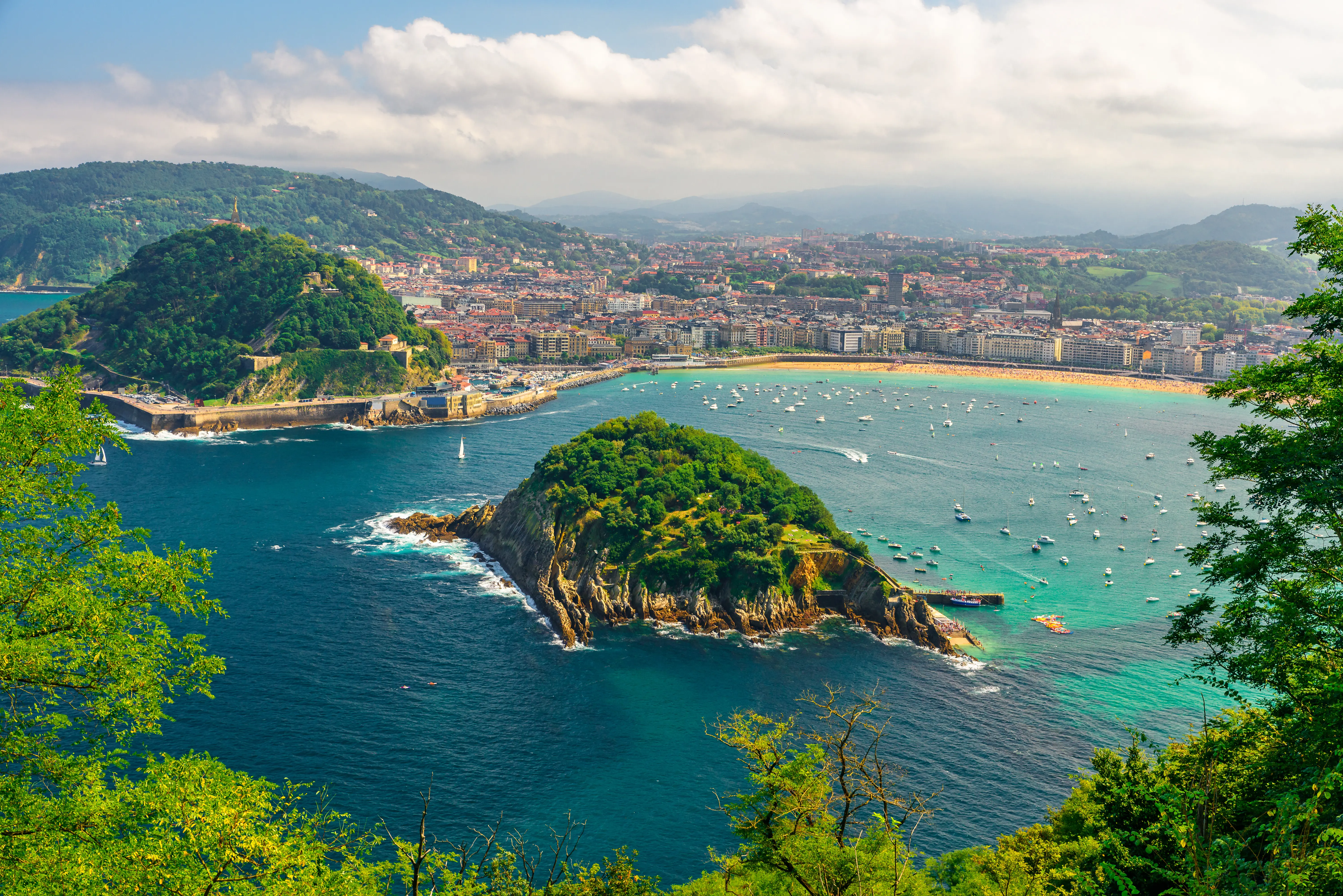 BIO Sansebastian Adobestock 274749671 (1)