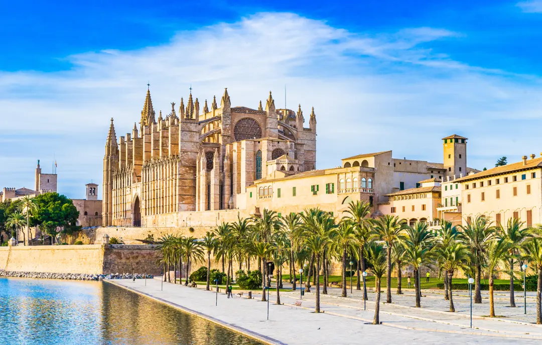 Palma Leseu Adobestock 100275682 (1)