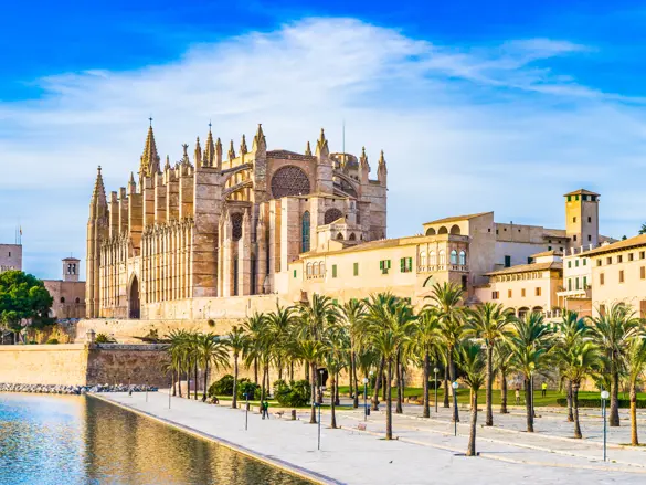 Palma Leseu Adobestock 100275682 (1)