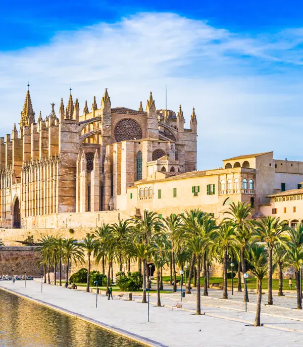 Palma Leseu Adobestock 100275682 (1)
