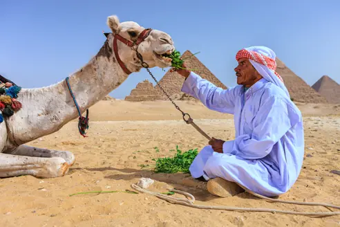 Giza, Egypt Gettyimages 516217802