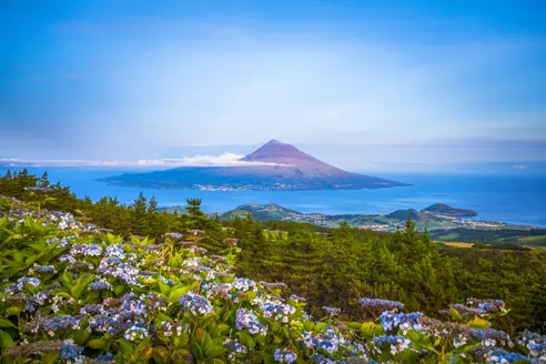 Premium Portugal Azores Wine And Volcanos Day4 Pico Island Pico Island Gettyimages 869128832 1