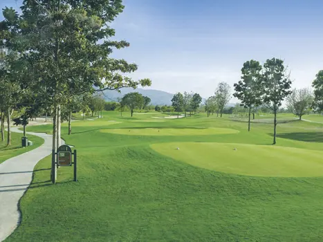 Course D Links