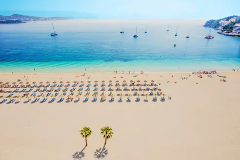 PMI Palmanova Playa WEB