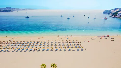 PMI Palmanova Playa WEB