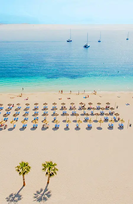 PMI Palmanova Playa WEB