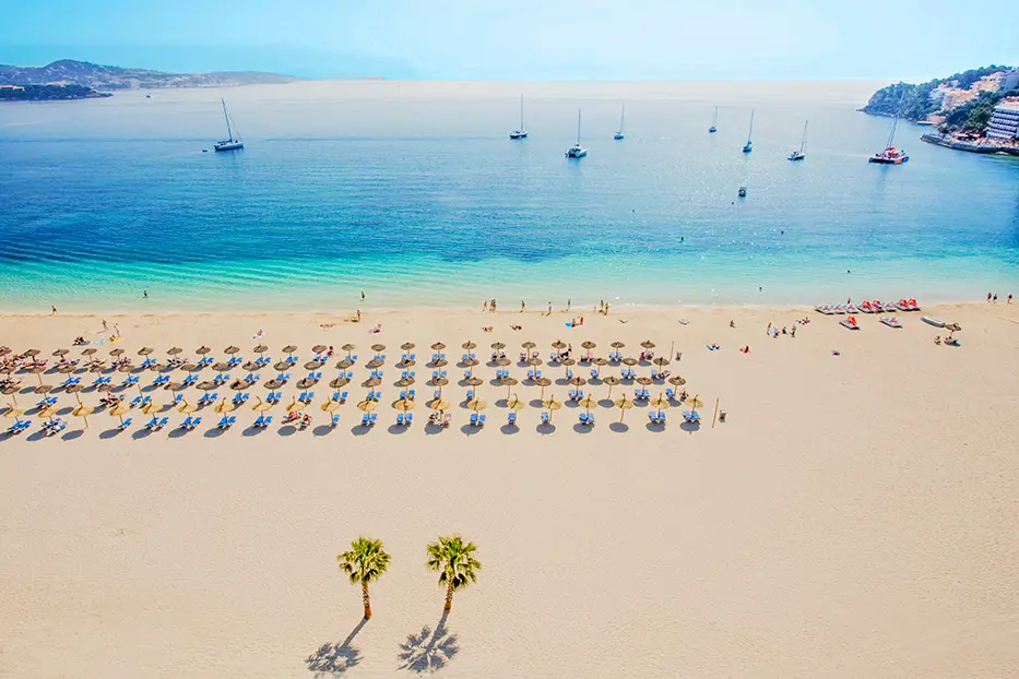 PMI Palmanova Playa WEB