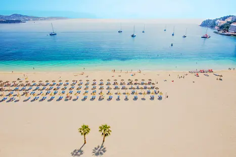 PMI Palmanova Playa WEB