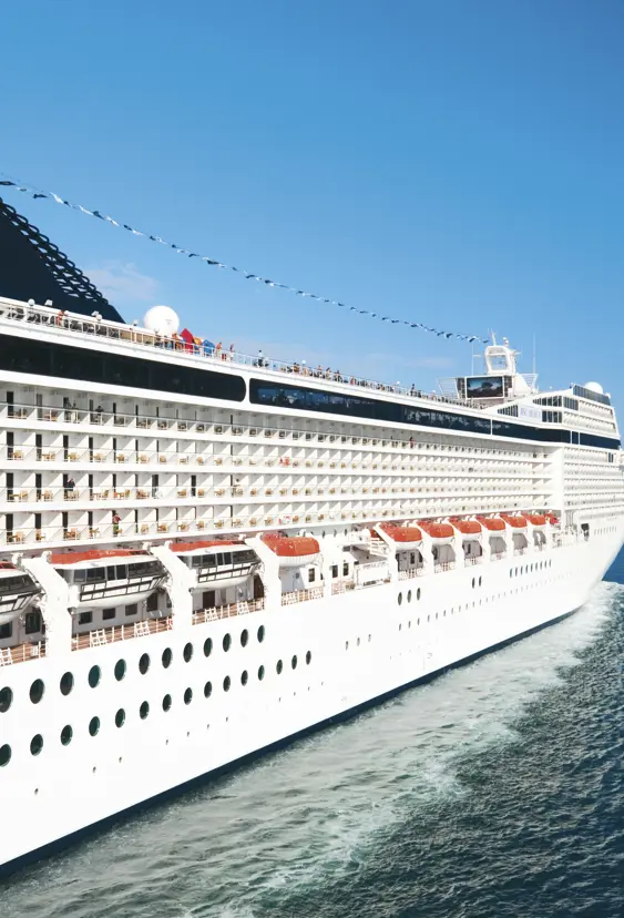 MSC13013756