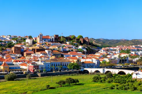 FAO Silves Adobestock 593474195