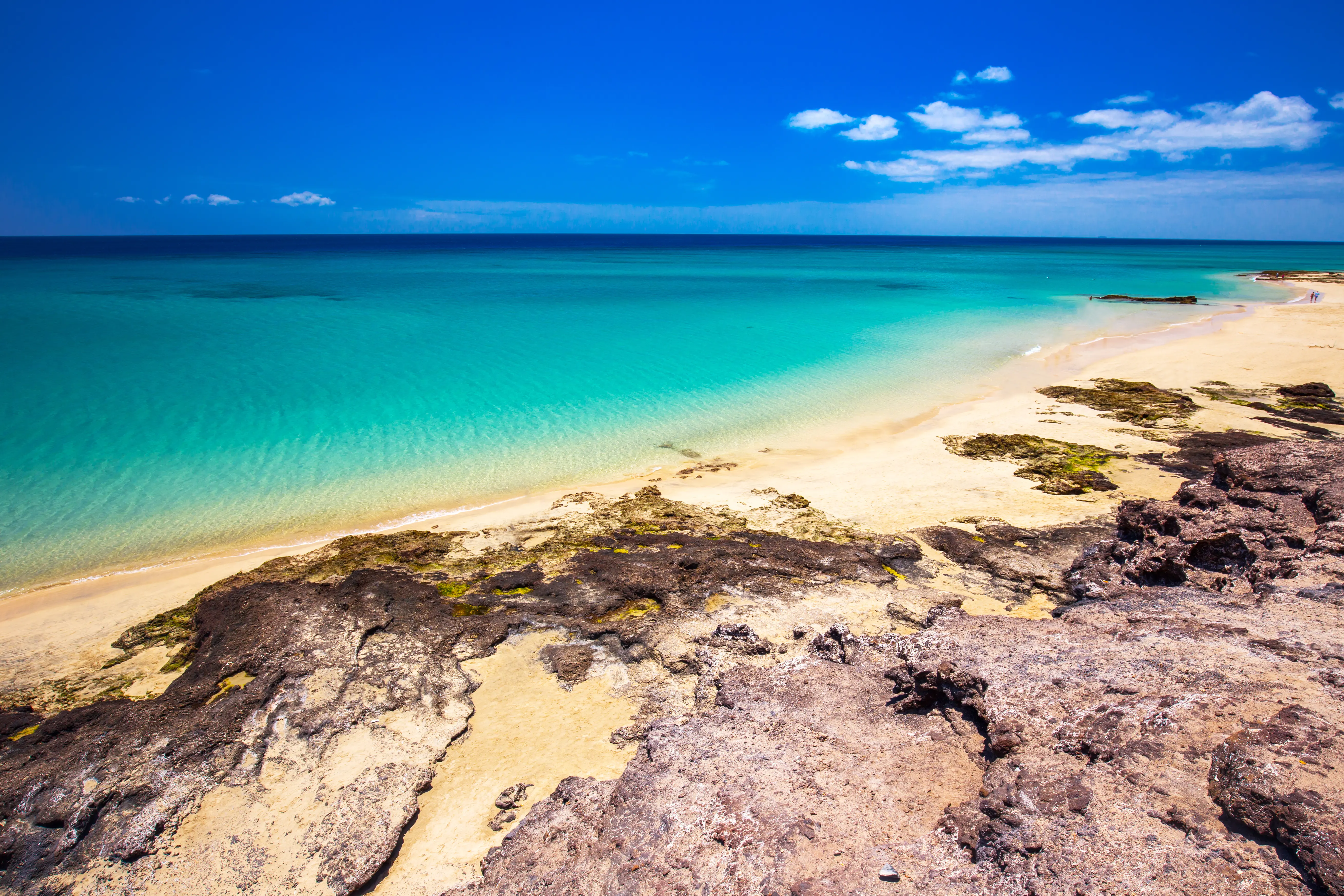 FUE Costacalma Adobestock 120975574
