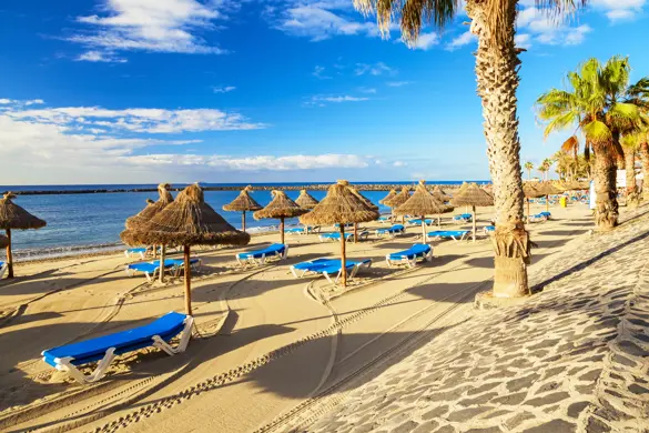 TFS Los Cristianos 245944360