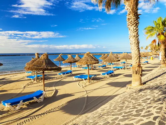TFS Los Cristianos 245944360