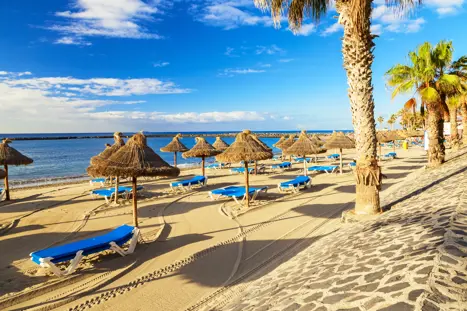 TFS Los Cristianos 245944360